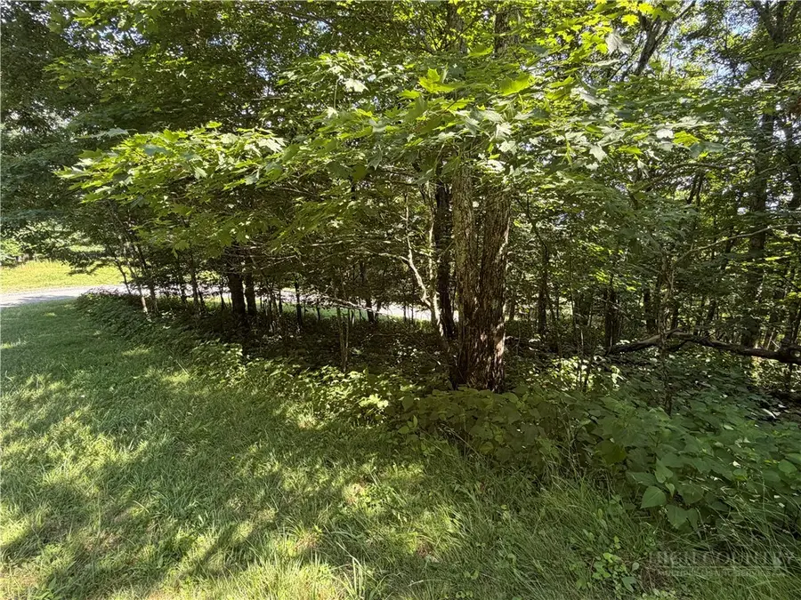 TBD Pinnacle Drive, West Jefferson, NC 28694 - #3