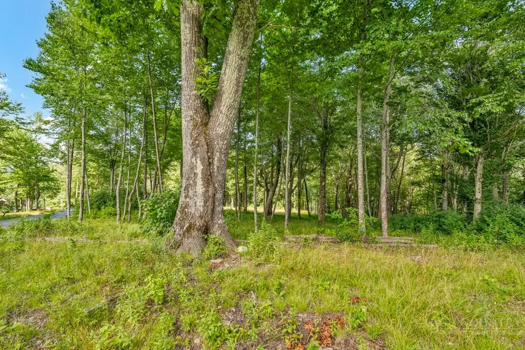 Lot 13 Great Sky Drive, Banner Elk, NC 28604 - #1