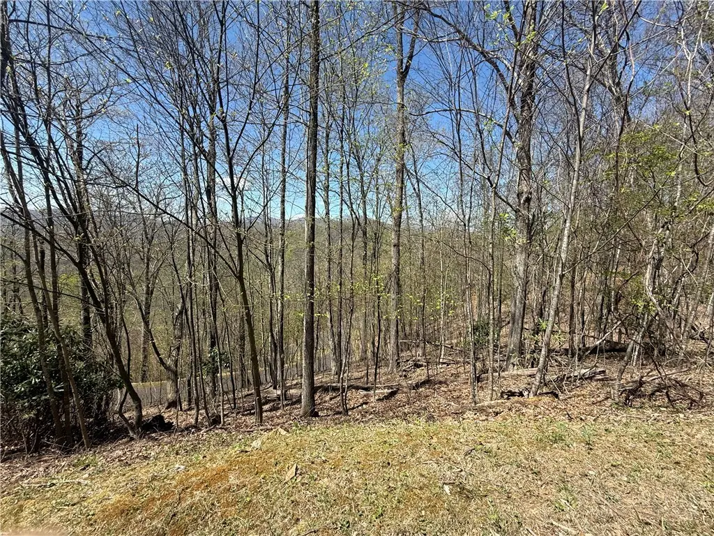 24 Elk Mountain Loop, Newland, NC 28657 - #1