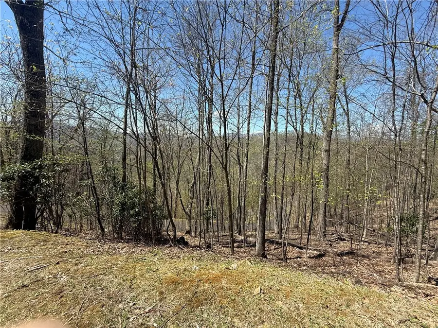 24 Elk Mountain Loop, Newland, NC 28657 - #2