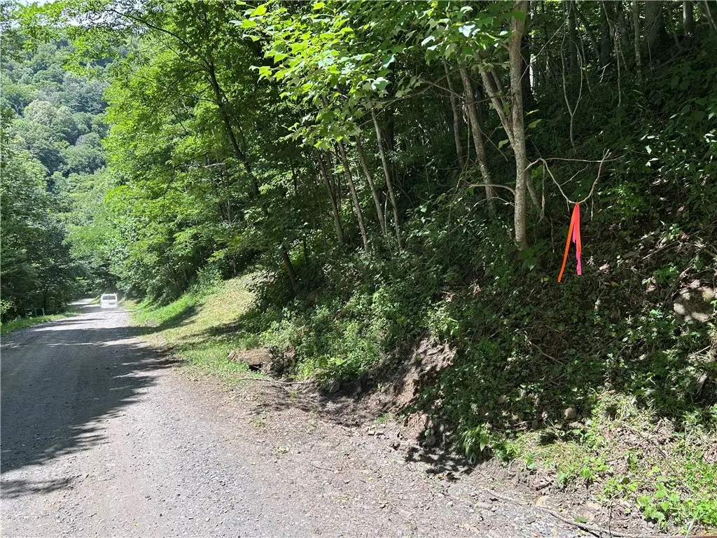 TBD Little Tree Road, West Jefferson, NC 28694 - #1