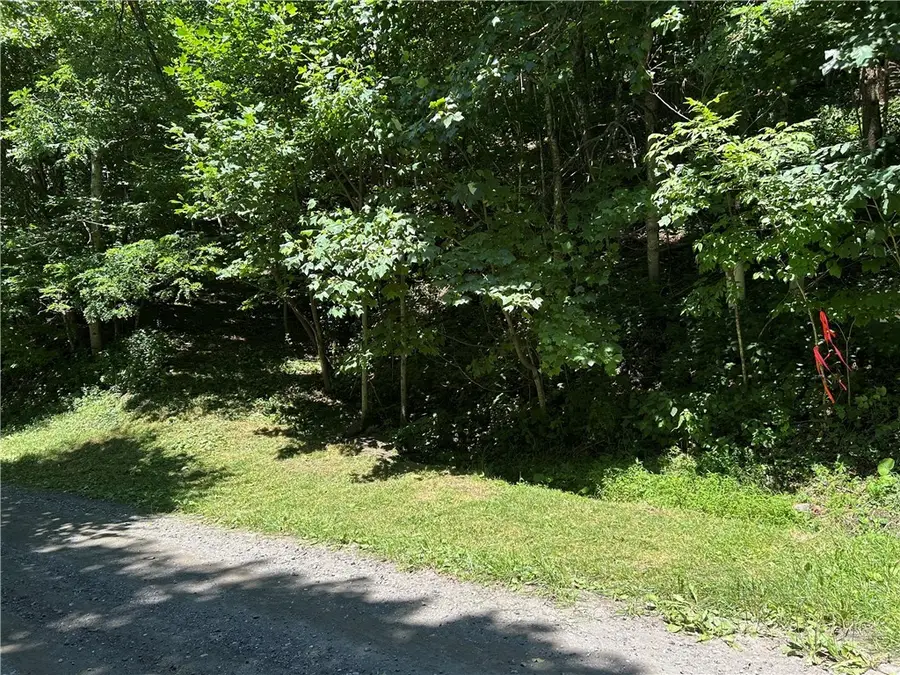 TBD Little Tree Road, West Jefferson, NC 28694 - #2