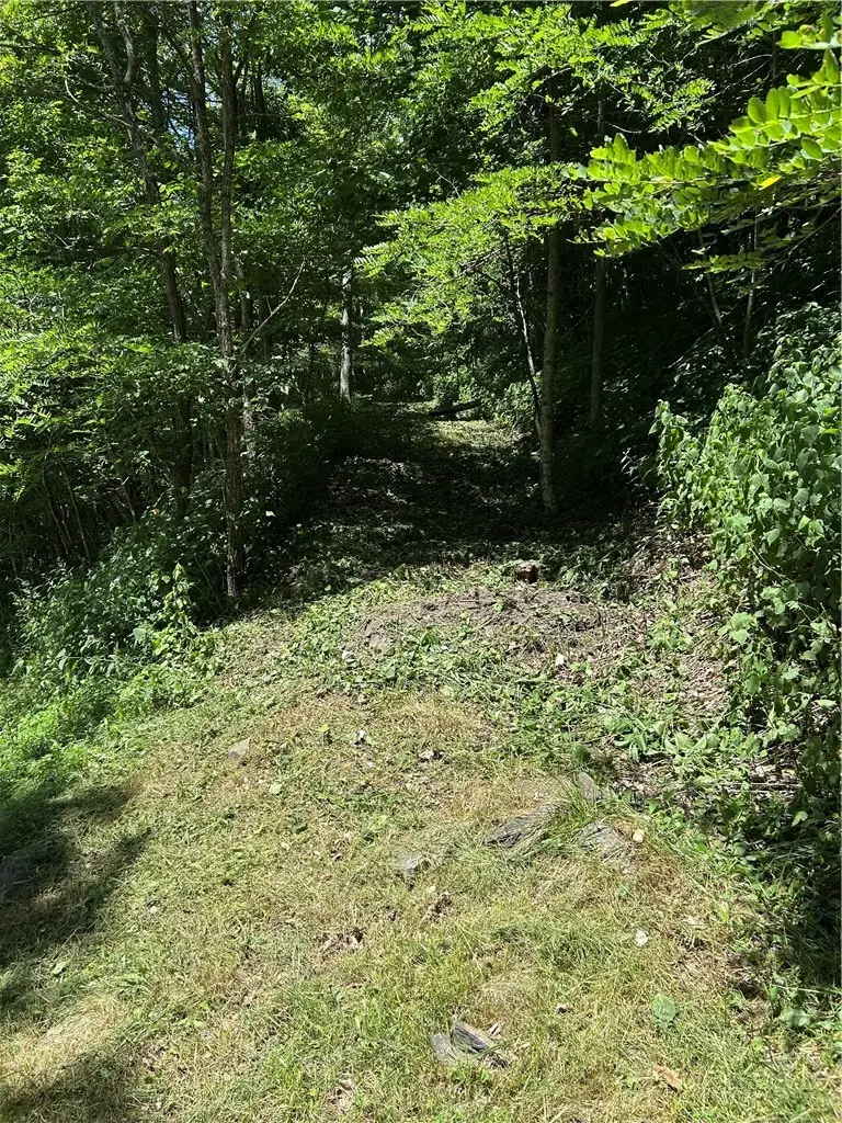 TBD Little Tree Road, West Jefferson, NC 28694 - #3