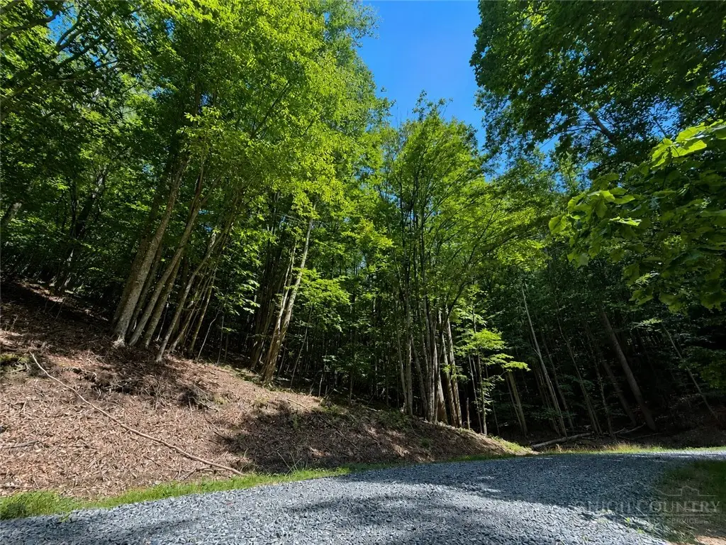 146 Sassafrass Road, Beech Mountain, NC 28604 - #1