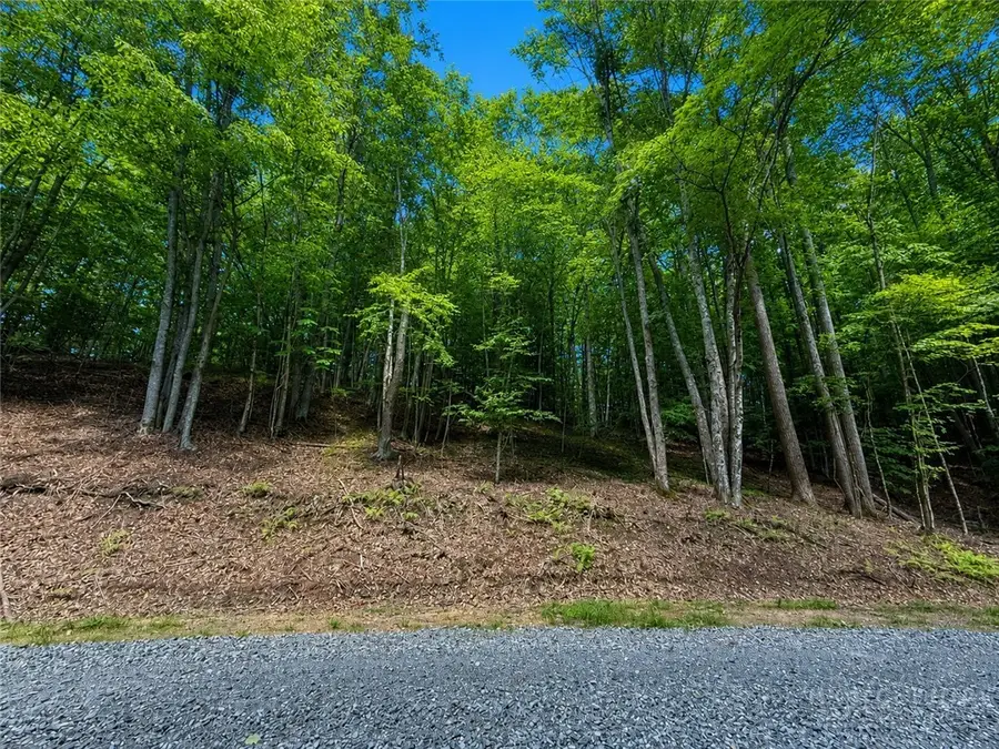 146 Sassafrass Road, Beech Mountain, NC 28604 - #2