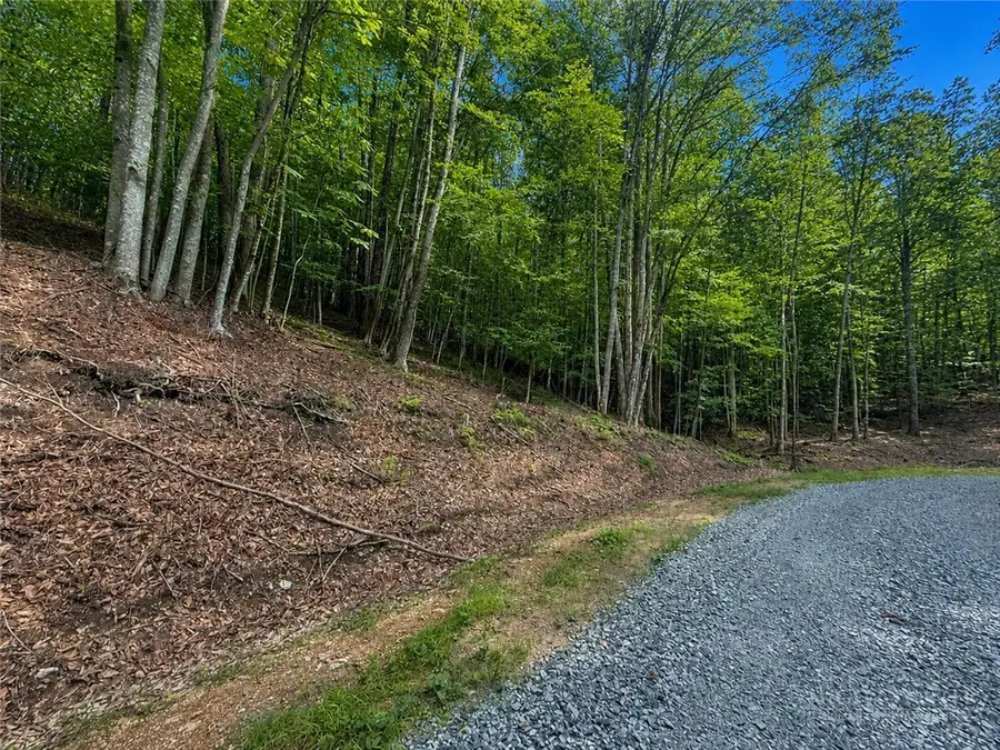146 Sassafrass Road, Beech Mountain, NC 28604 - #3