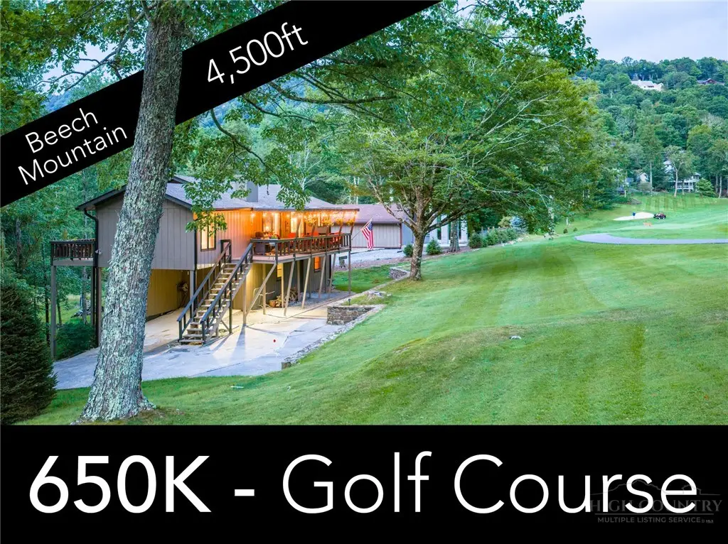 107 Grassy Gap Loop Road, Beech Mountain, NC 28604 - #1