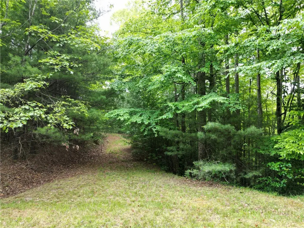 4 Fox Cove Road, Ferguson, NC 28624 - #1