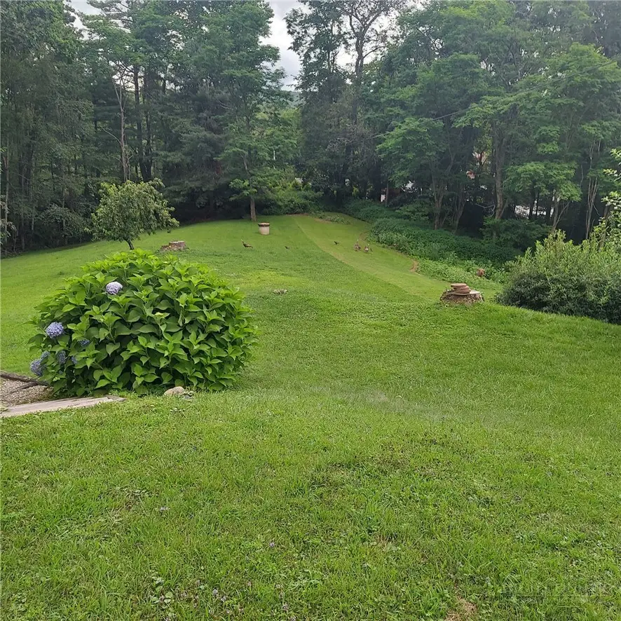 8676 Nc Hwy 183, Newland, NC 28657 - #1