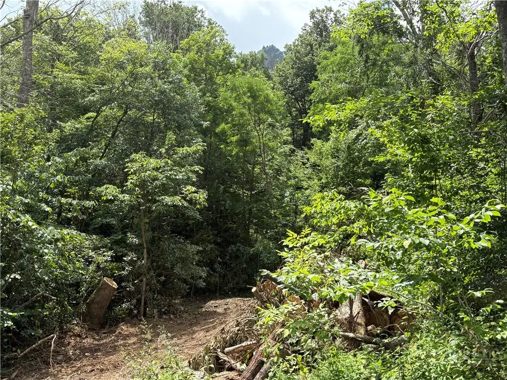 Lot 15 Shanty Springs Road, Banner Elk, NC 28604 - #1