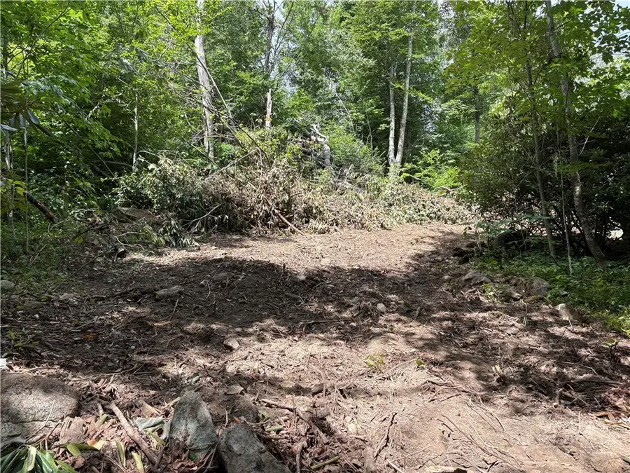Lot 15 Shanty Springs Road, Banner Elk, NC 28604 - #3