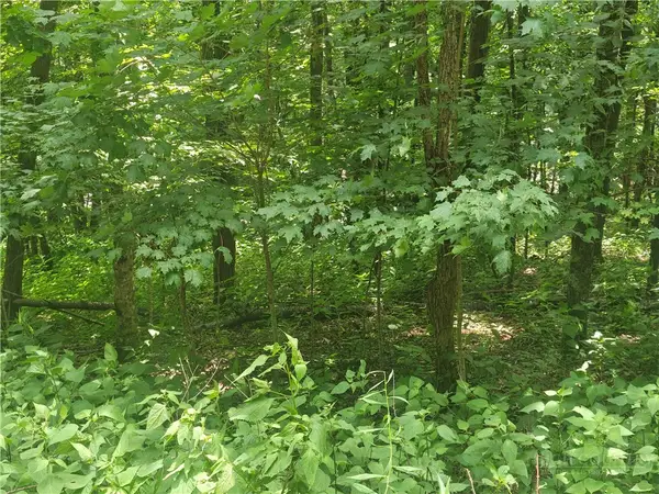 Lot 90 Thorncliff Drive, Boone, NC 28607
