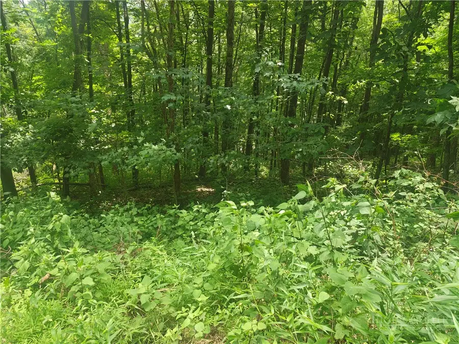 Lot 90 Thorncliff Drive, Boone, NC 28607 - #2