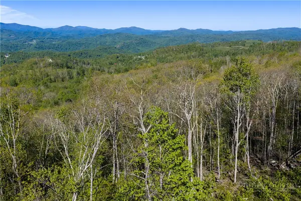 Lot 16C Talon Trail, Banner Elk, NC 28604