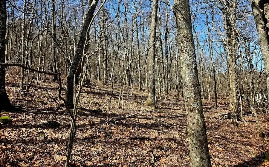 TBD Junaluska Road, Boone, NC 28607 - #2