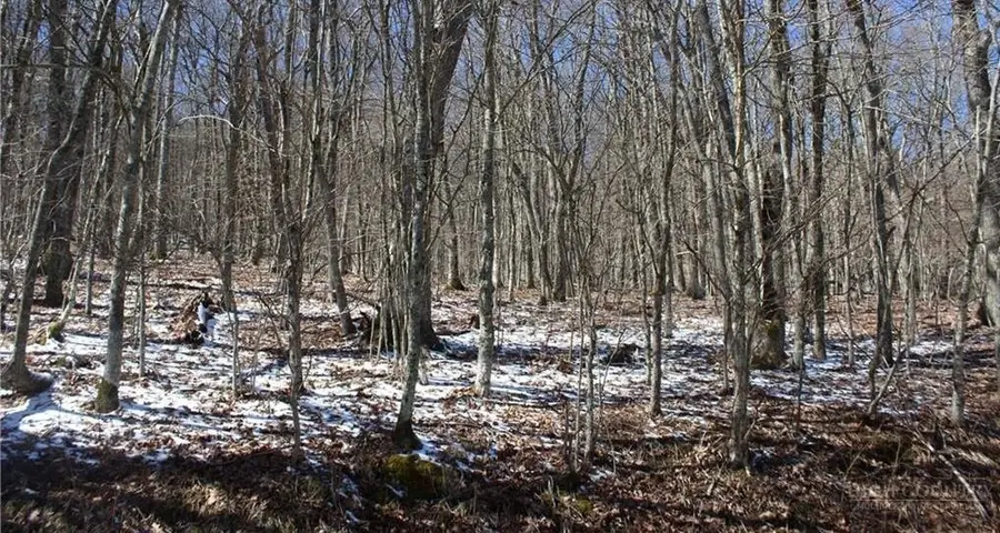 TBD Junaluska Road, Boone, NC 28607 - #3