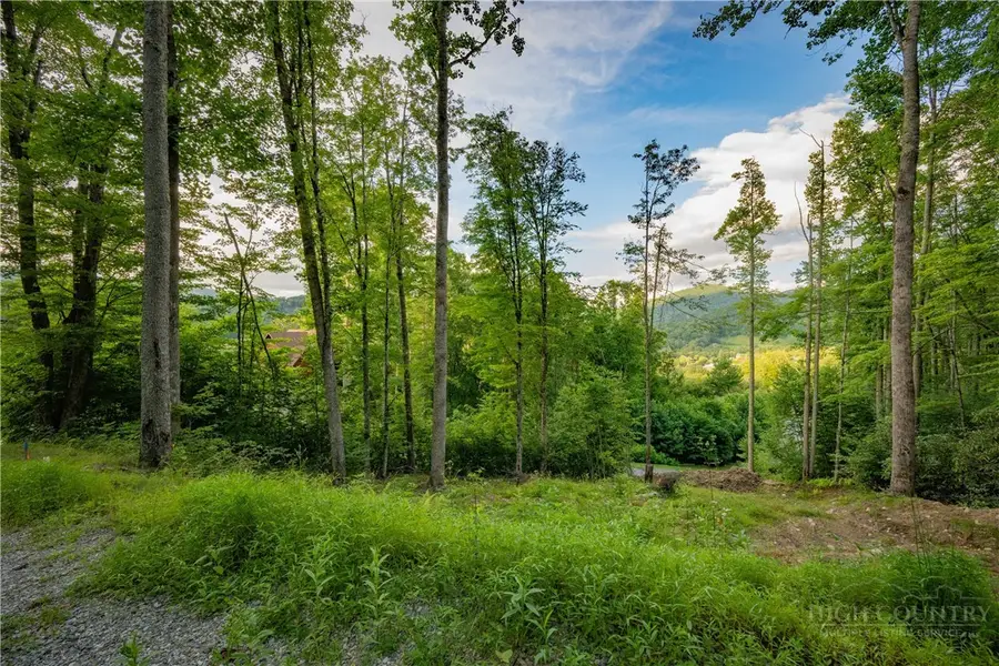 TBD Elk Creek Drive, Banner Elk, NC 28604 - #3