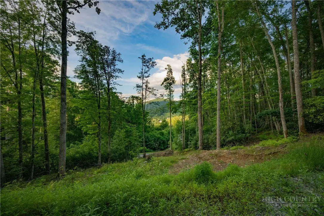 TBD Elk Creek Drive, Banner Elk, NC 28604 - #1