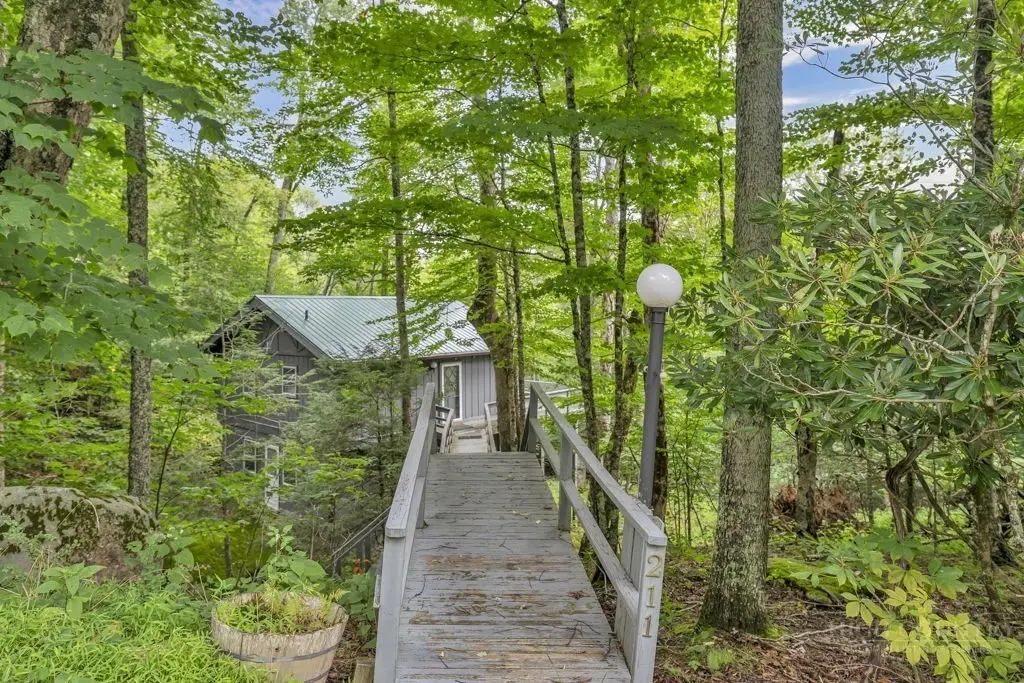 211 Foxgrape Hollow, Beech Mountain, NC 28604 - #1
