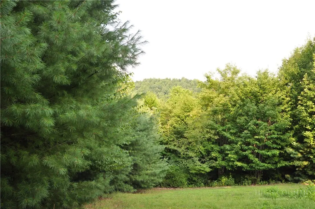 TBD Highland Laurel Lane, Deep Gap, NC 28618 - #1