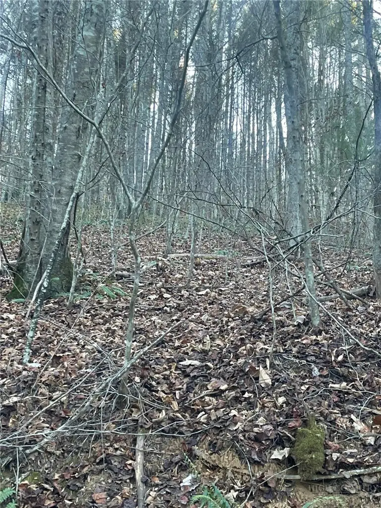 TBD Mountain Side Lane, Crumpler, NC 28617 - #1