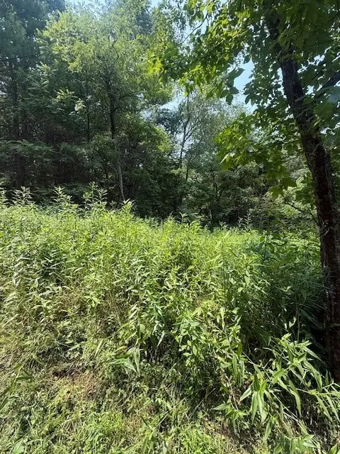 TBD Starlite Drive, Crumpler, NC 28617