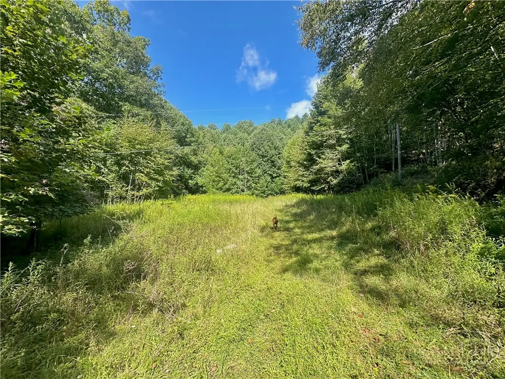 TBD Old Anderson Quarry Road, Vilas, NC 28692 - #1
