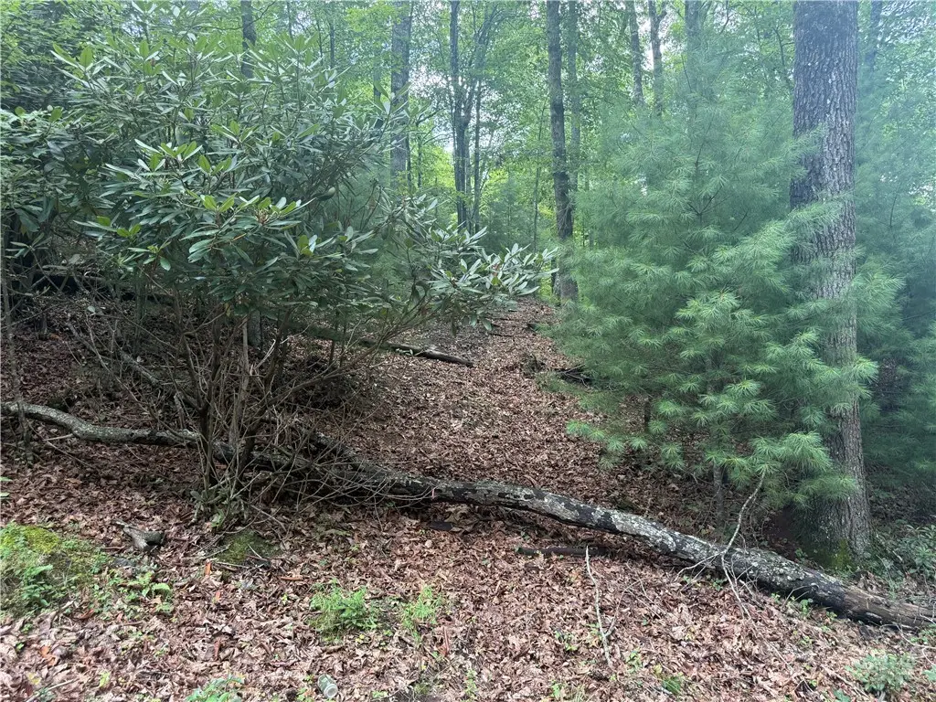 Lot 1 Skye Ridge Drive, West Jefferson, NC 28694 - #1