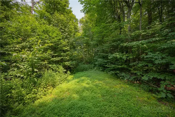 Lot 24 Linville River Drive, Linville, NC 28646