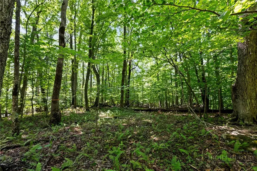 Lot 342 & 343 Twin Rivers Drive, Boone, NC 28607 - #2