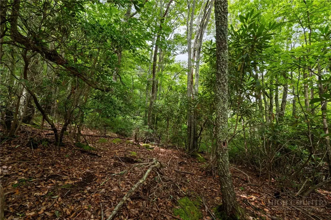 Lot 2 Heavenly Mountain Drive, Boone, NC 28607 - #1
