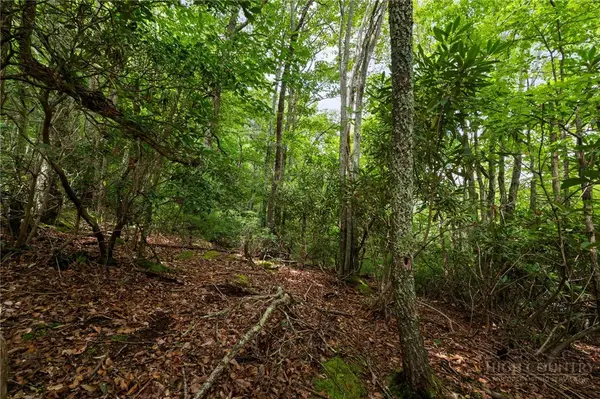 Lot 2 Heavenly Mountain Drive, Boone, NC 28607