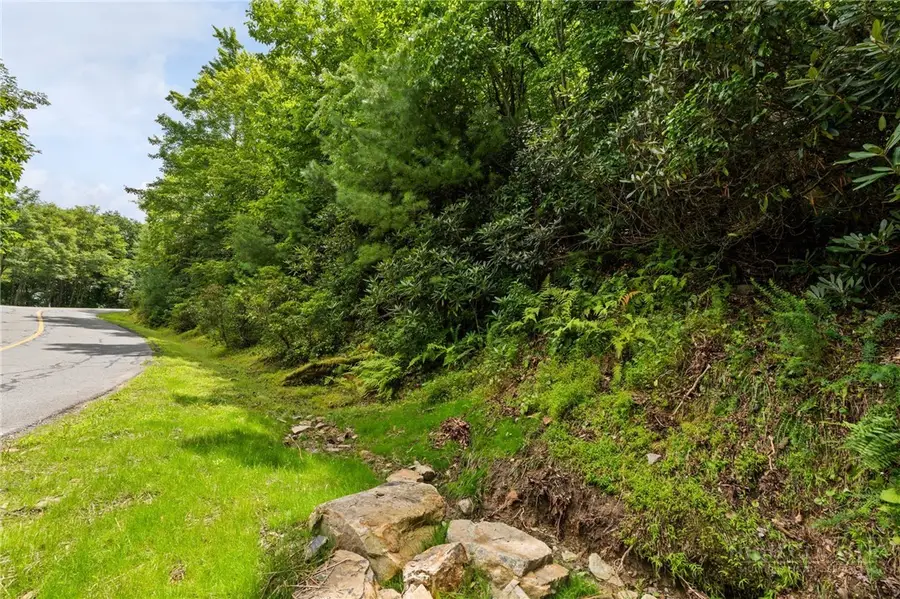Lot 2 Heavenly Mountain Drive, Boone, NC 28607 - #2
