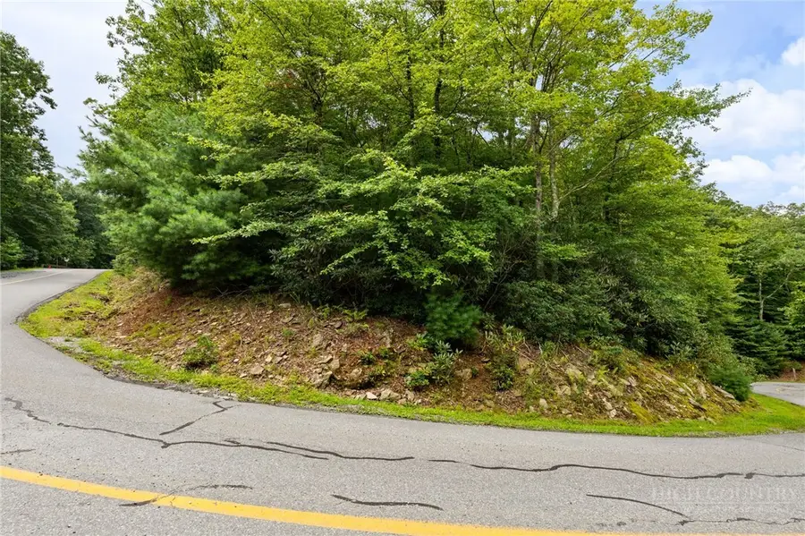 Lot 2 Heavenly Mountain Drive, Boone, NC 28607 - #3