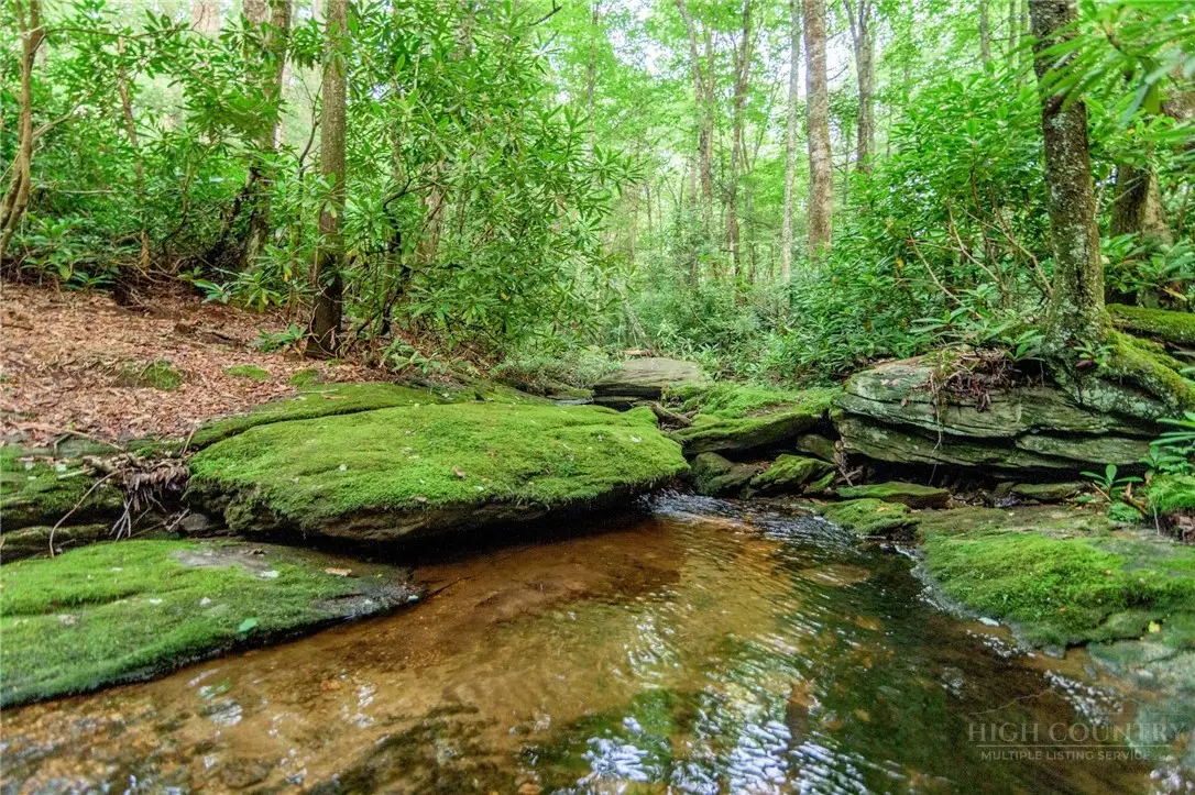 17R Kilkenney, Boone, NC 28607 - #1