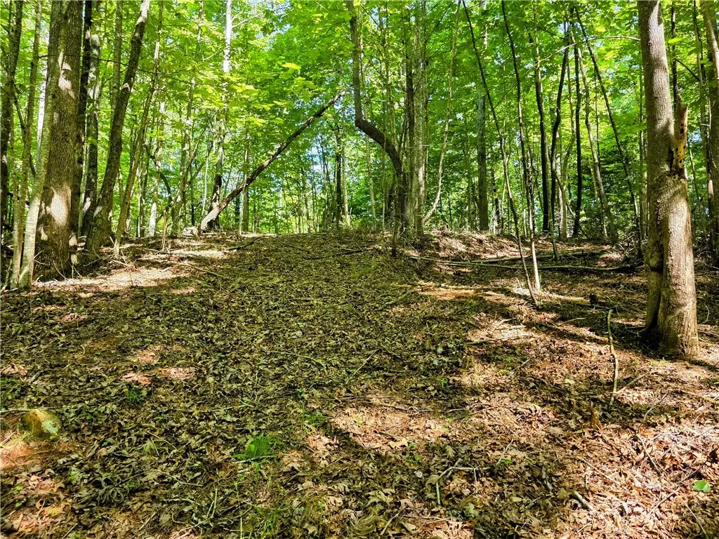 Lot 2B Brightwood Trail, Deep Gap, NC 28618 - #1