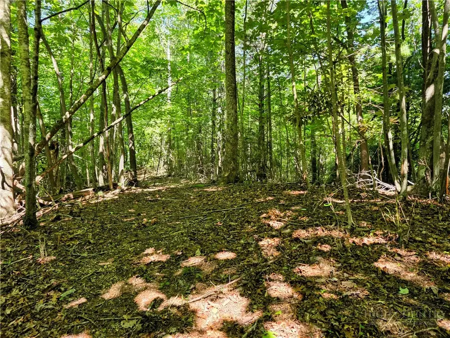 Lot 2B Brightwood Trail, Deep Gap, NC 28618 - #2