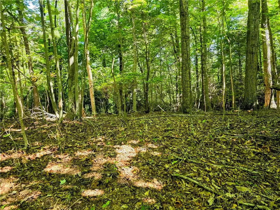Lot 2B Brightwood Trail, Deep Gap, NC 28618 - #3