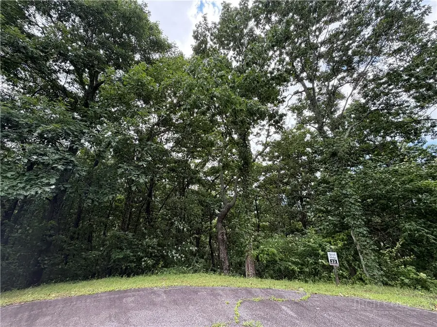 TBD Quail Ridge Court, Fleetwood, NC 28626 - #3