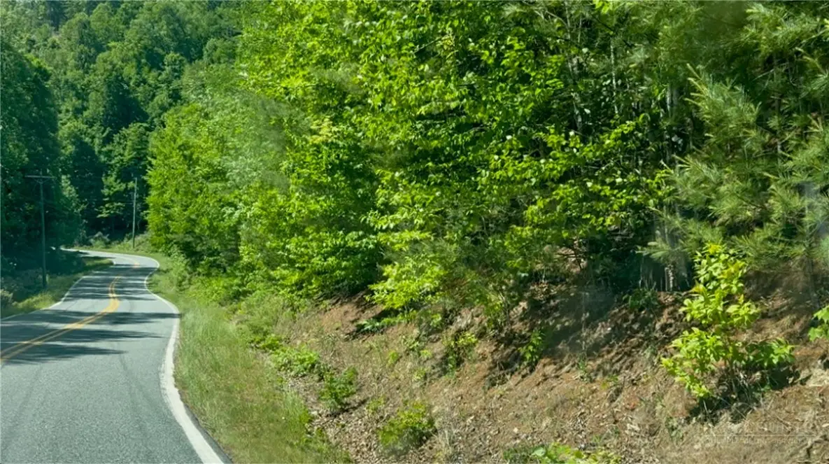 TBD Wildcat Road, Deep Gap, NC 28618 - #1