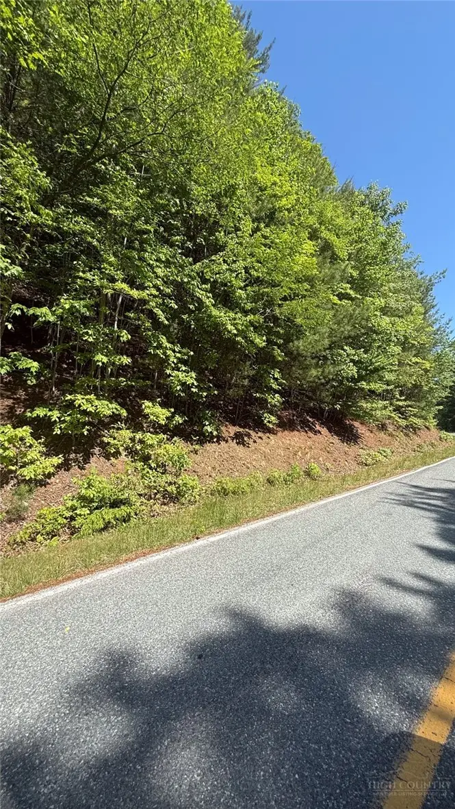 TBD Wildcat Road, Deep Gap, NC 28618 - #3