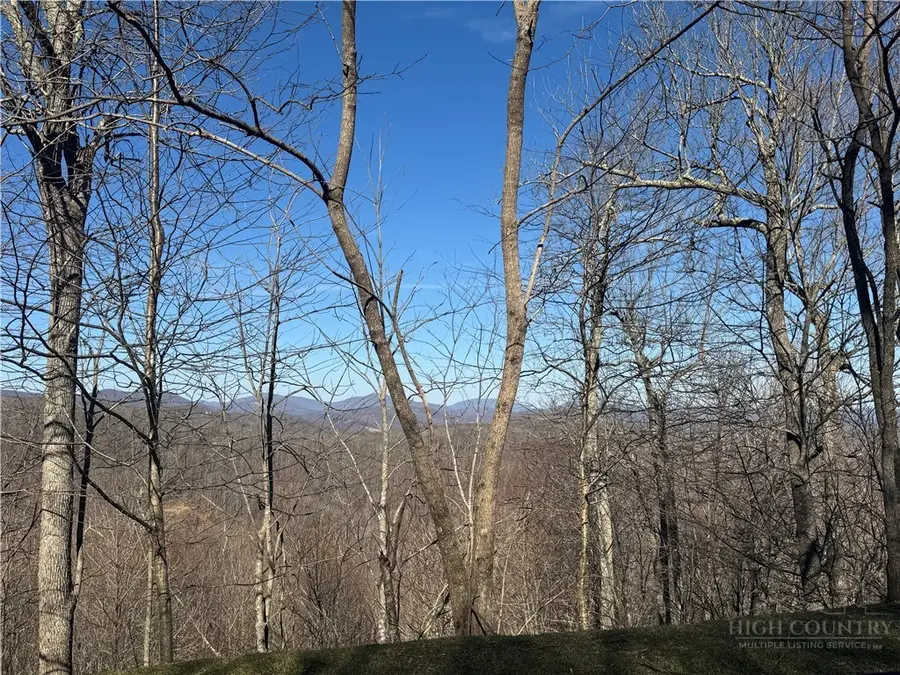 Lot 6 Boone Ridge Lane, Boone, NC 28607 - #2
