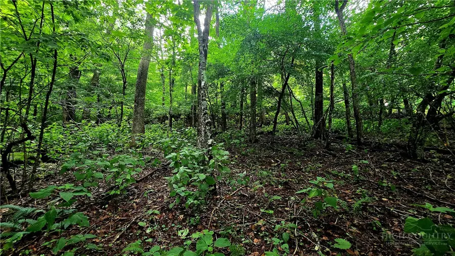 Lot 6 Boone Ridge Lane, Boone, NC 28607 - #3