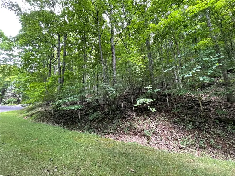 TBD Iron Wood Road, West Jefferson, NC 28694 - #2
