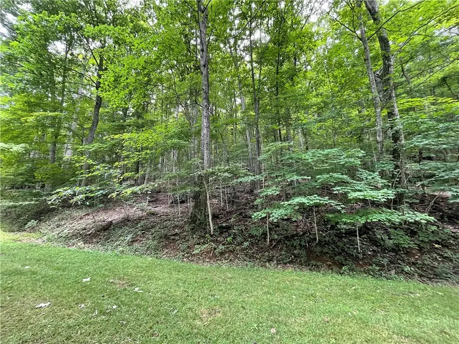 TBD Iron Wood Road, West Jefferson, NC 28694 - #3