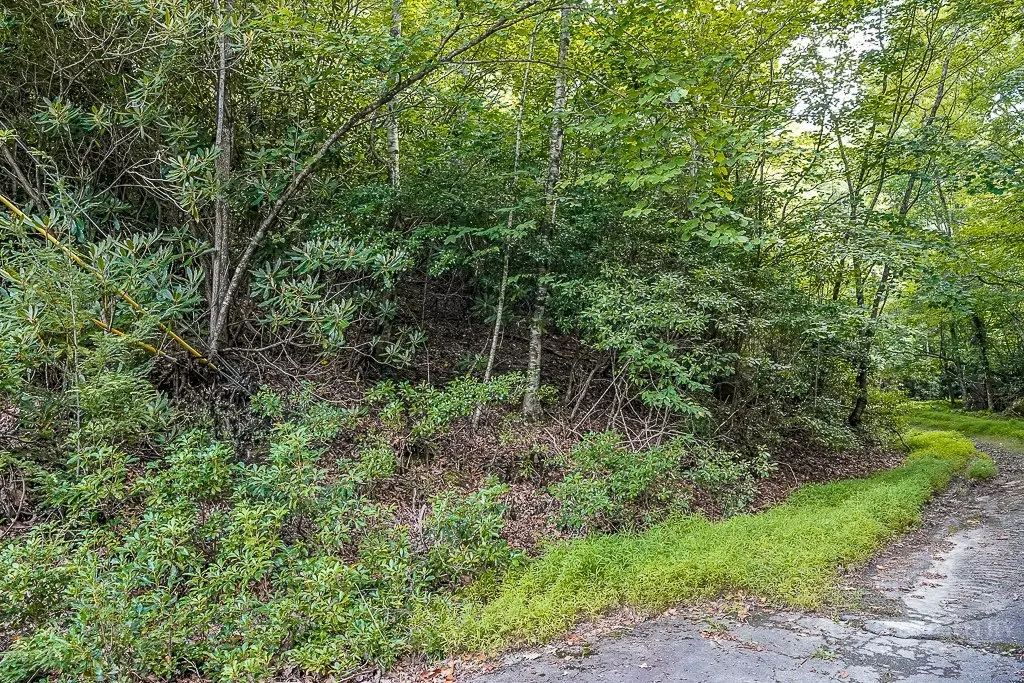 101 Chipmunk Lane, Beech Mountain, NC 28604 - #1