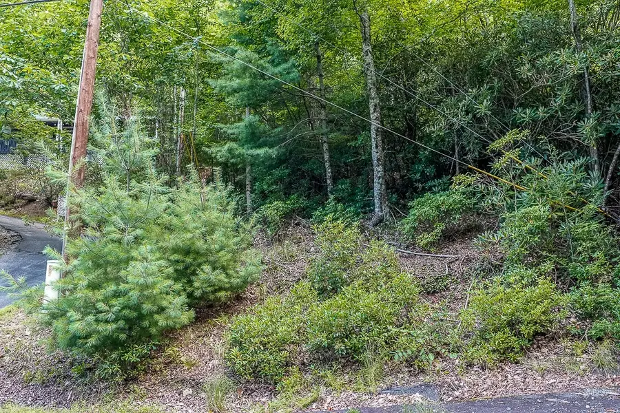 101 Chipmunk Lane, Beech Mountain, NC 28604 - #3