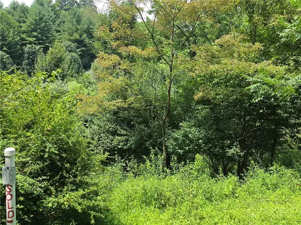 TBD lot 36 Georgina Way, Piney Creek, NC 28663