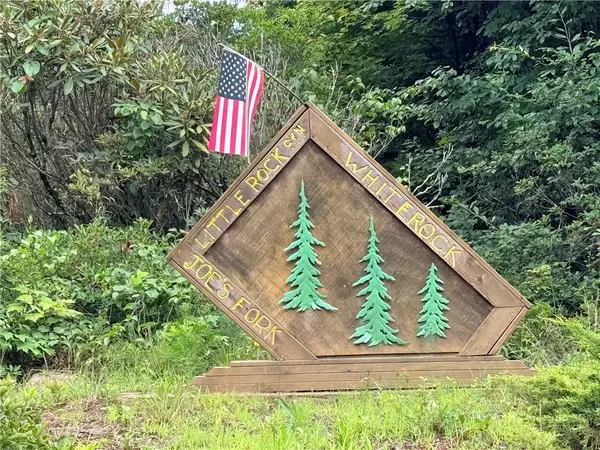 TBD Little Rock Canyon Road, Lenoir, NC 28645
