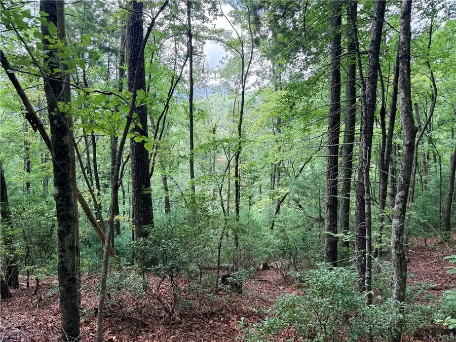 TBD Little Rock Canyon Road, Lenoir, NC 28645 - #2